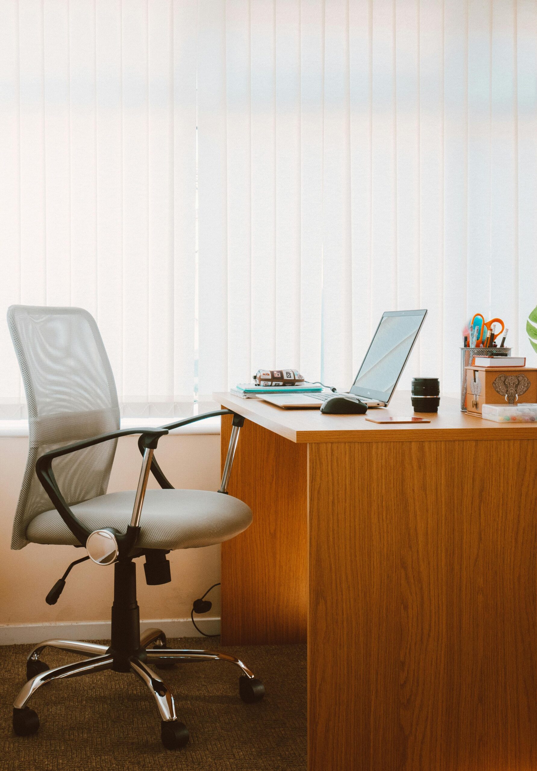 WordPress Geliştirme